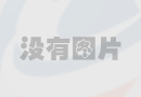 友誼賽